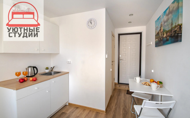 Квартира-студия 1 на Некрасовской