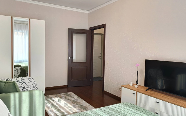 Uluchshennye Novy Lessner Apartments
