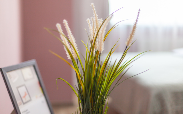 Апартаменты RentPlaza класса Lux