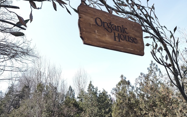 Organic House Mini-Hotel