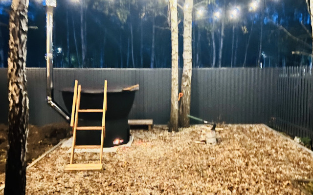 Частный дом Лесной Остров