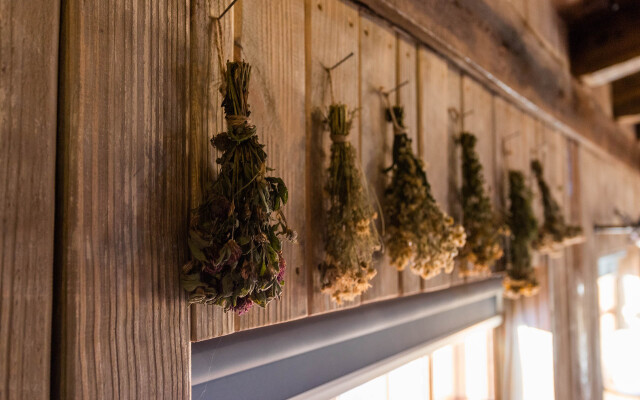 Апартаменты Удивительное Рядом 1