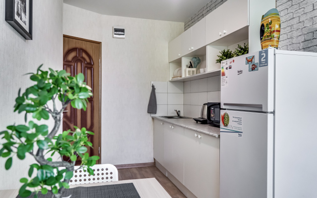 Odnushka S Myatnym Namekom Apartments