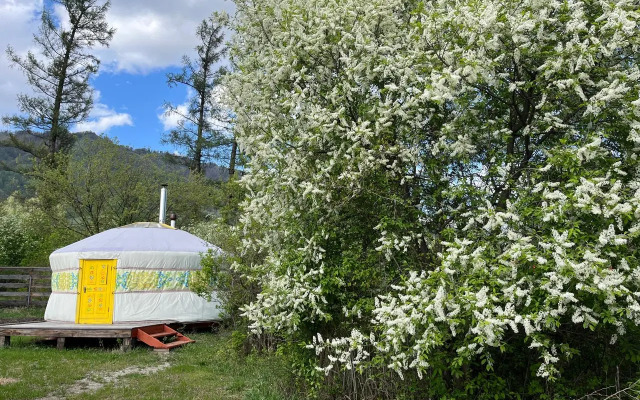 Recreation camp Altayskaya Roza