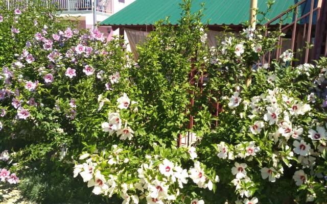 Гостевой Дом Фортуна