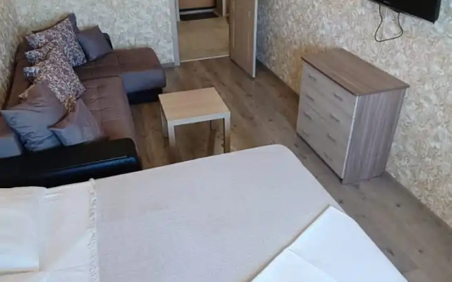 Kvartira 1+ Kristall Mat i Ditya Melnikajte Flat