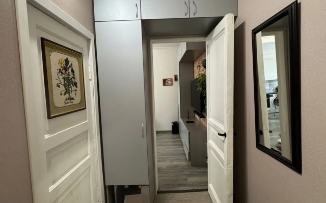 Квартира в центре Петроградки