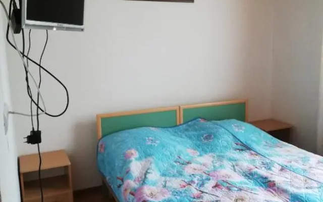 Tsitrus Guest house