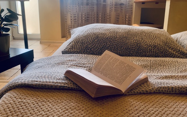 Квартира Студия в Центре