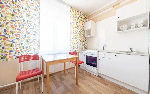 Odnokomnatnyye Passazhir 3 Apartments