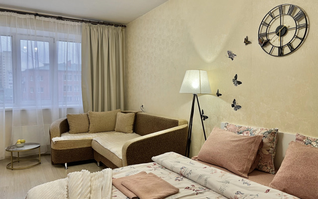 Квартира на Профессиональной 22