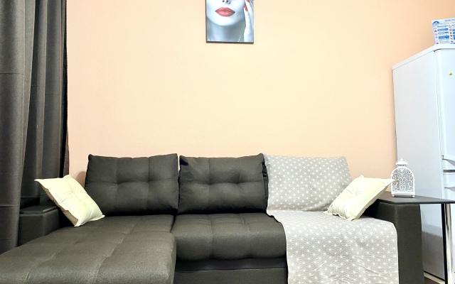 Апартаменты Проспект Молодёжный 33к1 квартира 151