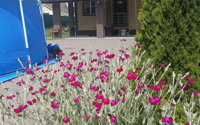 Borkovkino Guest House