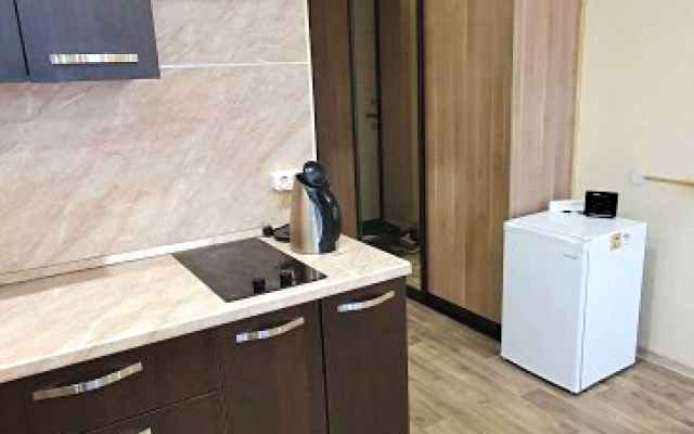 Uyutnie Studiya 57 Apartments