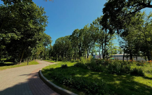 Apartamenty S Dzhakuzi I Vidom Na Park