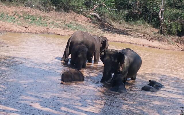 Курортный Отель Heina Nature Resort & Yala Safari