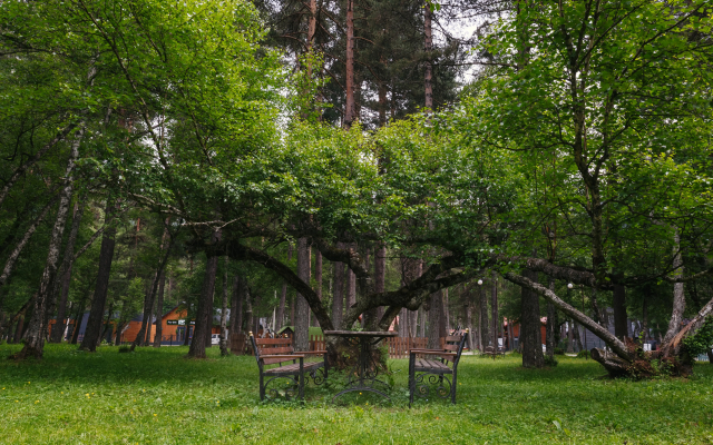 Отель Конак Хаус