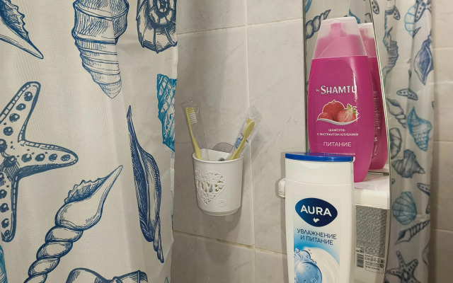 Квартира на Алма-Атинской 94