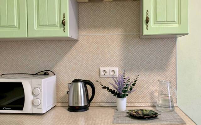 Studiya V Novostroyke Flat