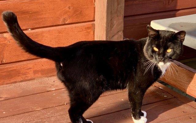 База отдыха Эко Хутор Рай Сяля