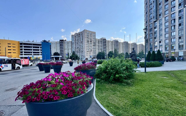 Квартира InRoomSPb  Просвещения 15