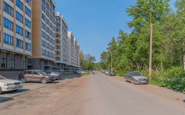 Studiya Na Mikhaylovskaya 51 Apartments