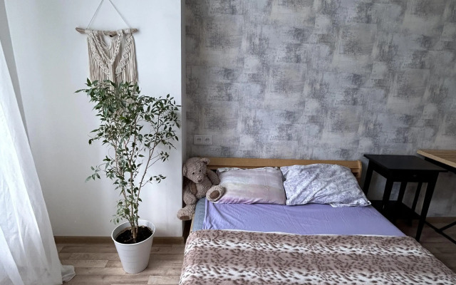 Апартаменты с высокими потолками на улице Мира