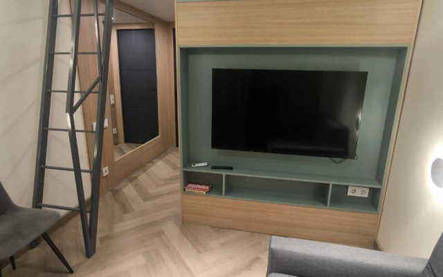 Апартаменты Уютная студия Пушкинской