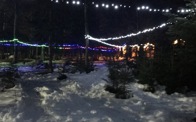 Forest House Resort