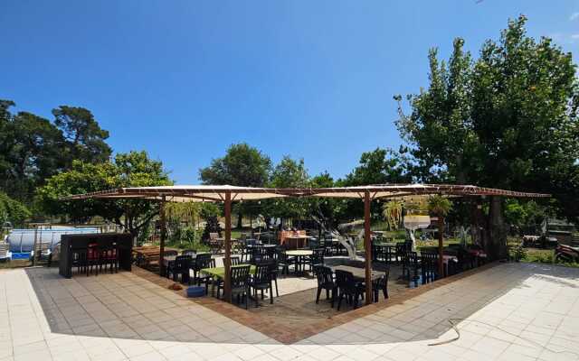 Orange Beach Camp Karavan Club