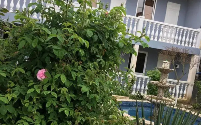 Hotel Kavo-de-Bukso
