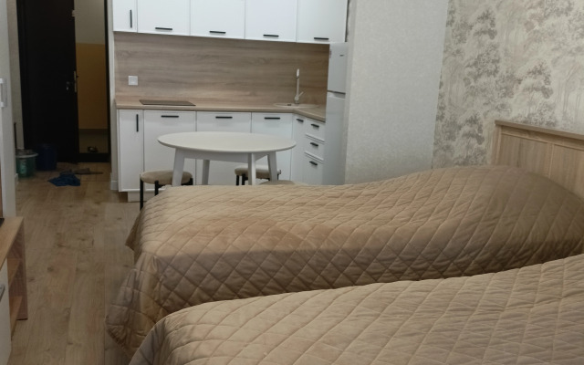 Апартаменты студия 30 на Симанина 14