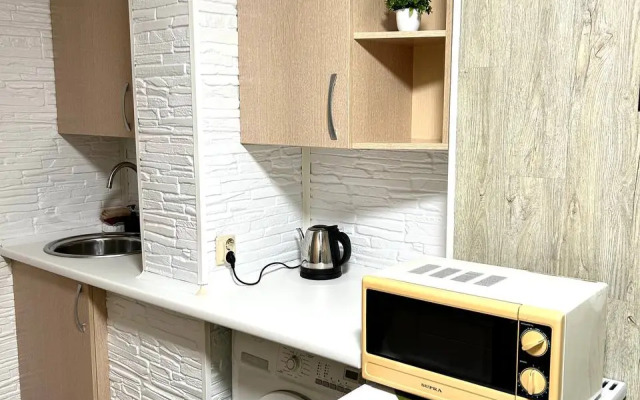 Квартира Студия 100 метров от метро