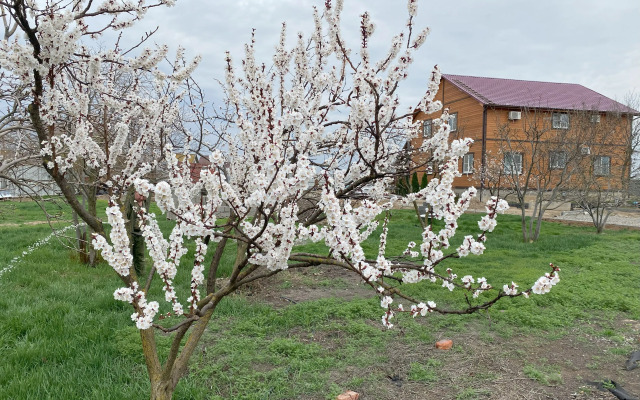 Bushma Private house