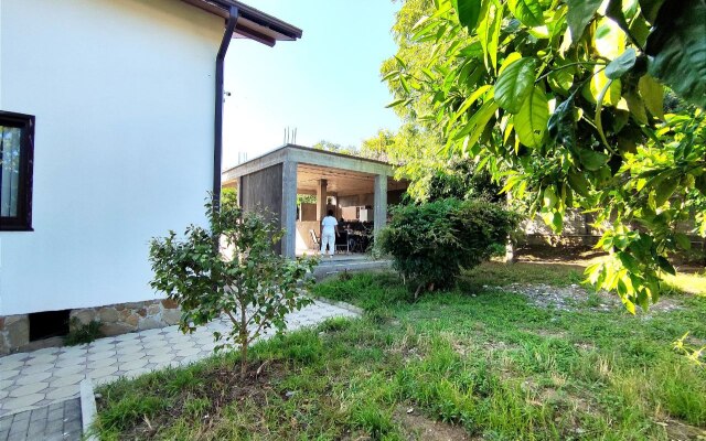 Tsitrus Guest house