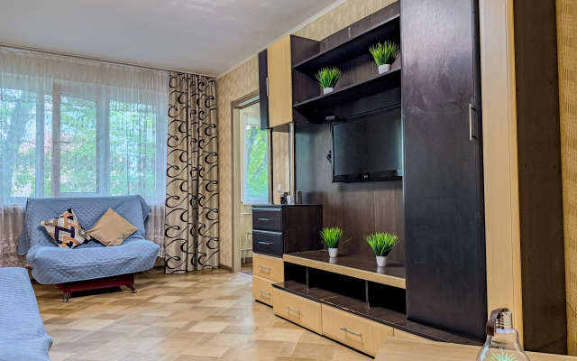 Voyenny Gorodok Flat