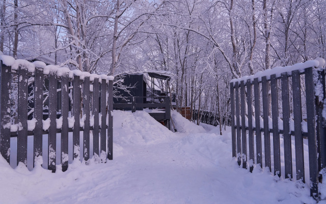 Частный дом в лесу