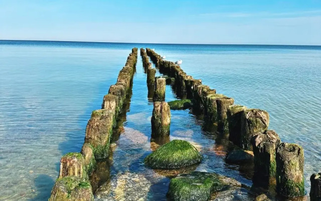 Квартира в центре города