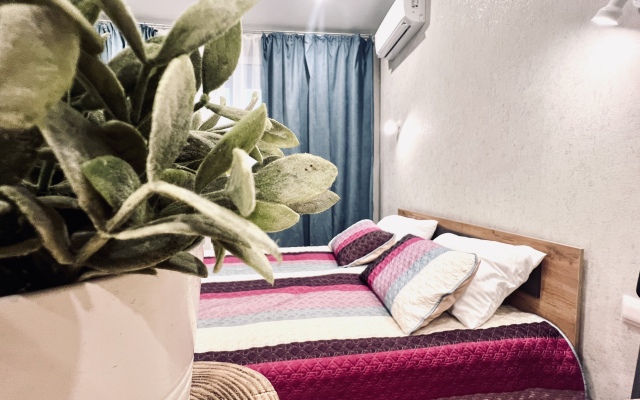 Квартира студия Орхидея