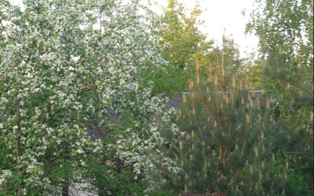 Гостевой дом Эколофт