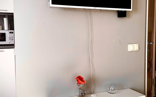 Na Ploschadi Lenina Apartments