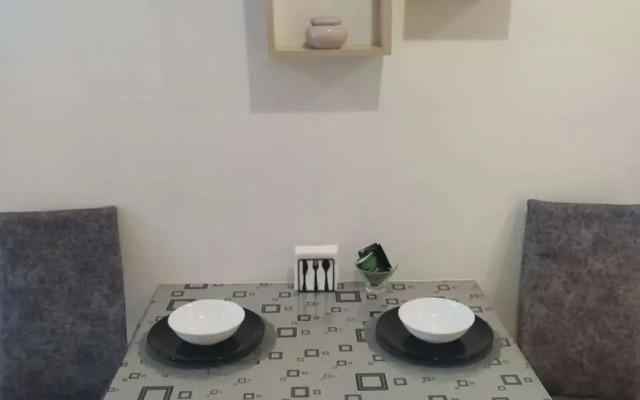 Квартира студия в центре города