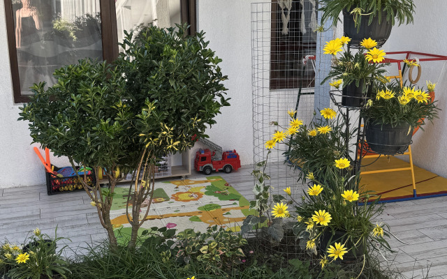 Pekan Guest House