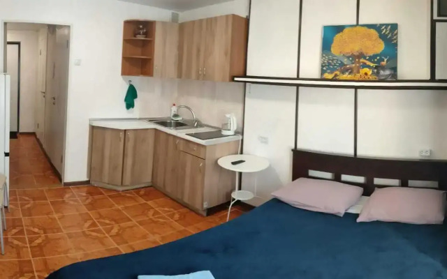 Квартира на улице Пушкинская 34