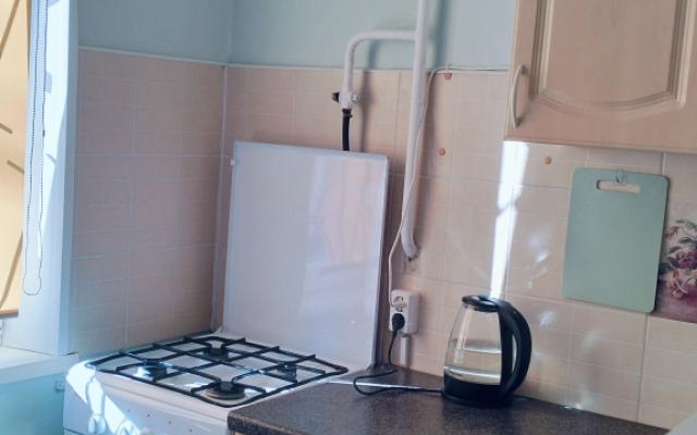 1k Volodarskogo 15 Tsentr Flat