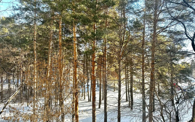Квартира студия в самом центре с парковкой
