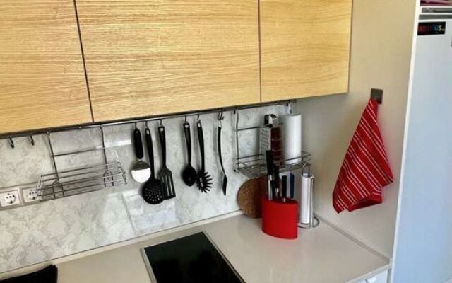 Na Naberezhnoj Bolshoj Hevki Flat