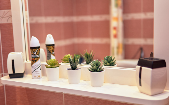 Квартира Sibkvart Кропоткина 116/1