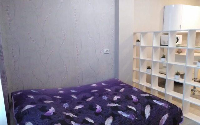 Квартира в Центре Дзержинского Района