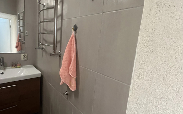 Bolshaya V Istoricheskom Tsentre Flat